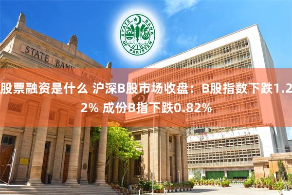 股票融资是什么 沪深B股市场收盘：B股指数下跌1.22% 成