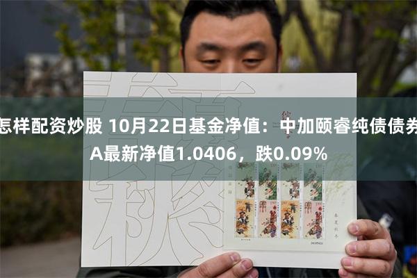 怎样配资炒股 10月22日基金净值：中加颐睿纯债债券A最新净