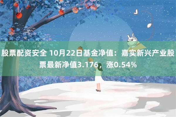 股票配资安全 10月22日基金净值：嘉实新兴产业股票最新净值