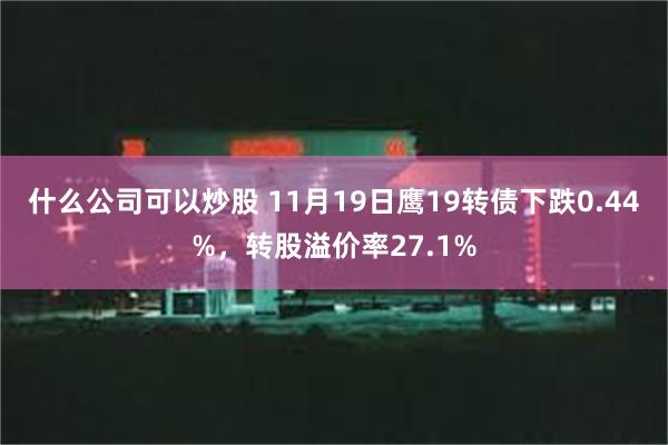 什么公司可以炒股 11月19日鹰19转债下跌0.44%，转股