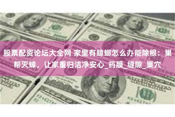 股票配资论坛大全网 家里有蟑螂怎么办能除根：巢帮灭蟑，让家重